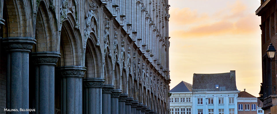 Mercure Mechelen Vé ★★★★ - Une adresse authentique au cœur de la Belgique. - Malines, Belgique