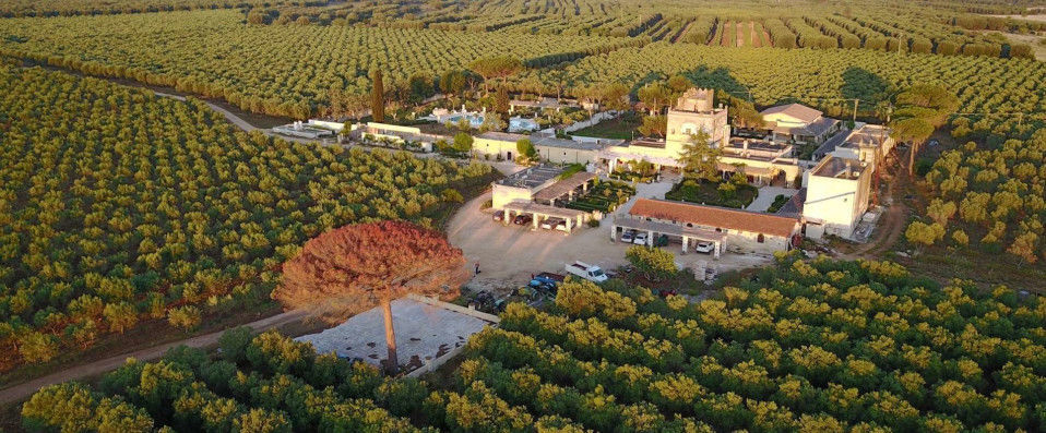 Agriturismo Tenuta Mazzetta - Ancienne ferme du XVe siècle rénovée en un sublime hôtel. - Les Pouilles, Italie