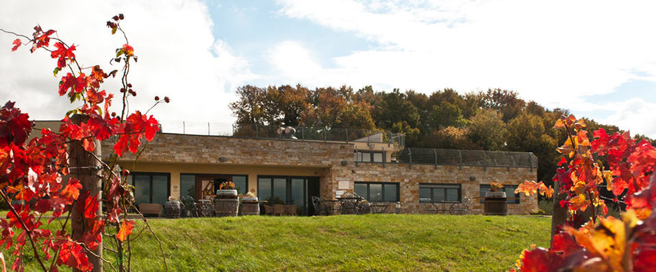 Relais Todini ★★★★★ - Glorious Umbrian countryside in tranquil Todi. - Perugia, Italy