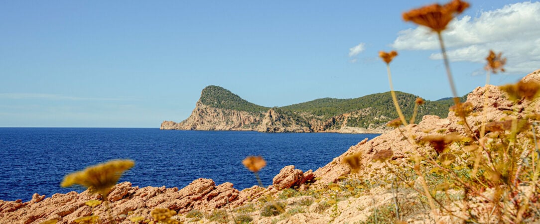 Hostal la Torre Ibiza Cap Negret - Un joli refuge ensoleillé et convivial sur la côte d'Ibiza. - Ibiza, Espagne