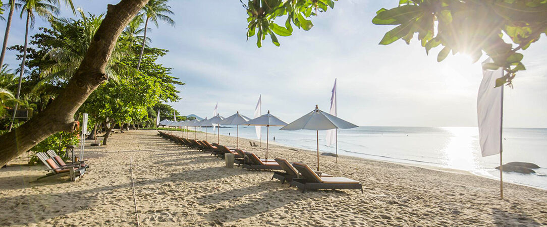 New Star Beach Resort ★★★★ - Une pépite au calme sur la côte de Koh Samui. - Koh Samui, Thaïlande