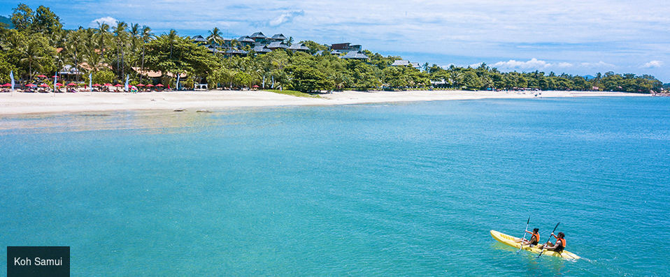 New Star Beach Resort ★★★★ - Une pépite au calme sur la côte de Koh Samui. - Koh Samui, Thaïlande