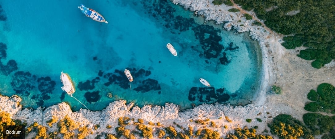 Swissôtel Resort Bodrum Beach ★★★★★ - Prestige & plage privée sur la côte de Bodrum. - Bodrum, Turquie