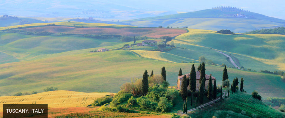 Tenuta di Capezzana - An authentic slice of Tuscan life on the doorstep of Florence - Tuscany, Italy