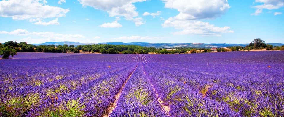 Le Mas d'Entremont ★★★★ - Dernière minute : nuit d'exception à un prix extraordinaire à Aix-en-Provence ! - Aix-en-Provence, France