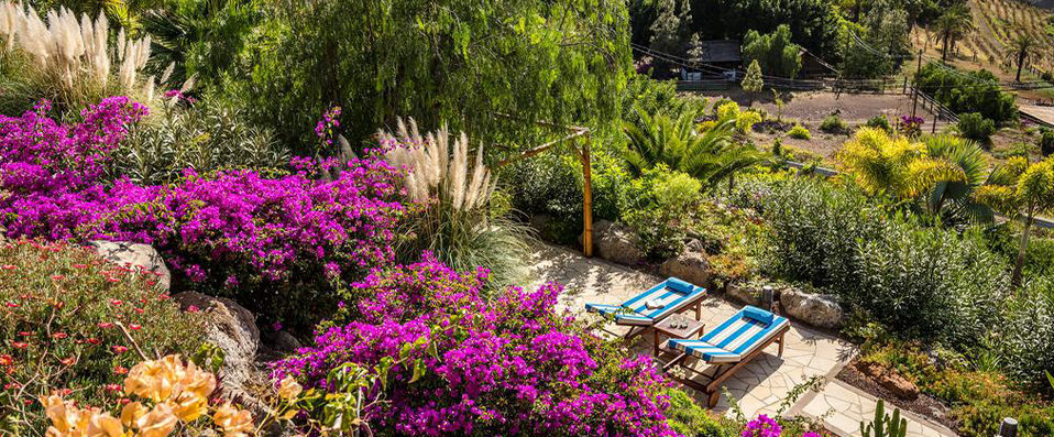 Casa León Royal Retreat - A warm welcome in the Canary Islands. - Gran Canaria, Spain