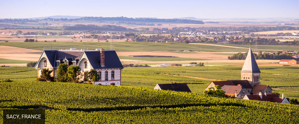 Château de Sacy - Demeure d’exception au cœur du vignoble champenois. - Champagne-Ardenne, France