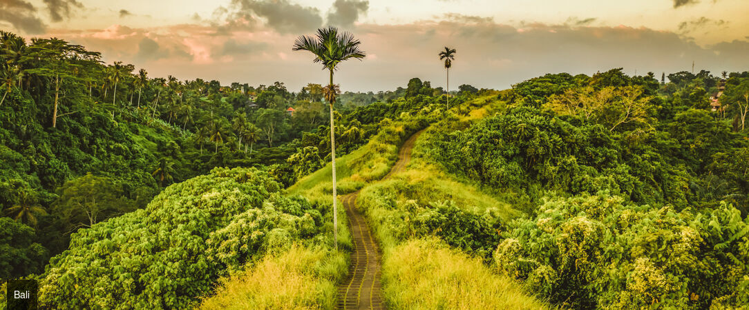 Dedary Resort & Spa Ubud ★★★★ - Une adresse vouée au repos au cœur des merveilles naturelles d’Ubud. - Bali, Indonésie