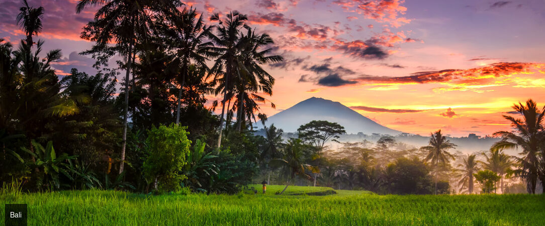 Dedary Resort & Spa Ubud ★★★★ - Une adresse vouée au repos au cœur des merveilles naturelles d’Ubud. - Bali, Indonésie