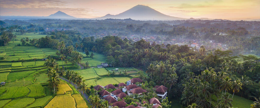Dedary Resort & Spa Ubud ★★★★ - Une adresse vouée au repos au cœur des merveilles naturelles d’Ubud. - Bali, Indonésie