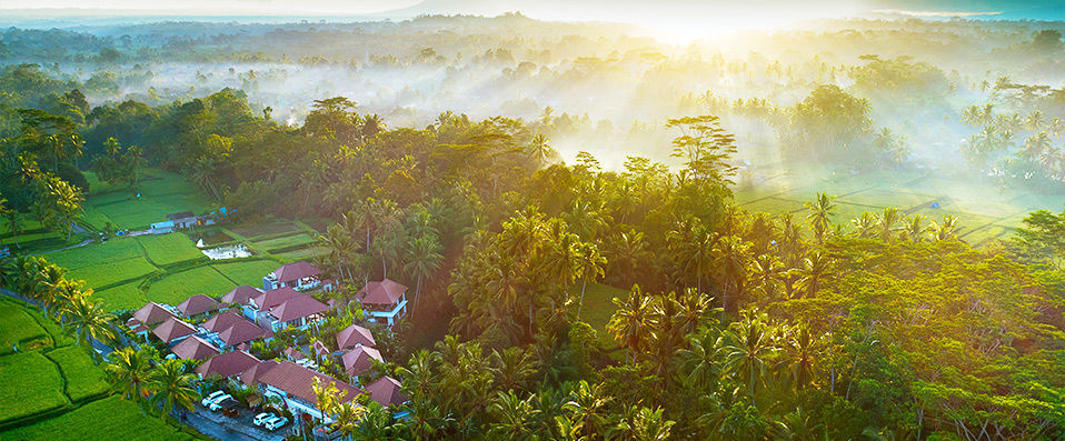 Dedary Kriyamaha Ubud ★★★★ - Une adresse vouée au repos au cœur des merveilles naturelles d’Ubud. - Bali, Indonésie