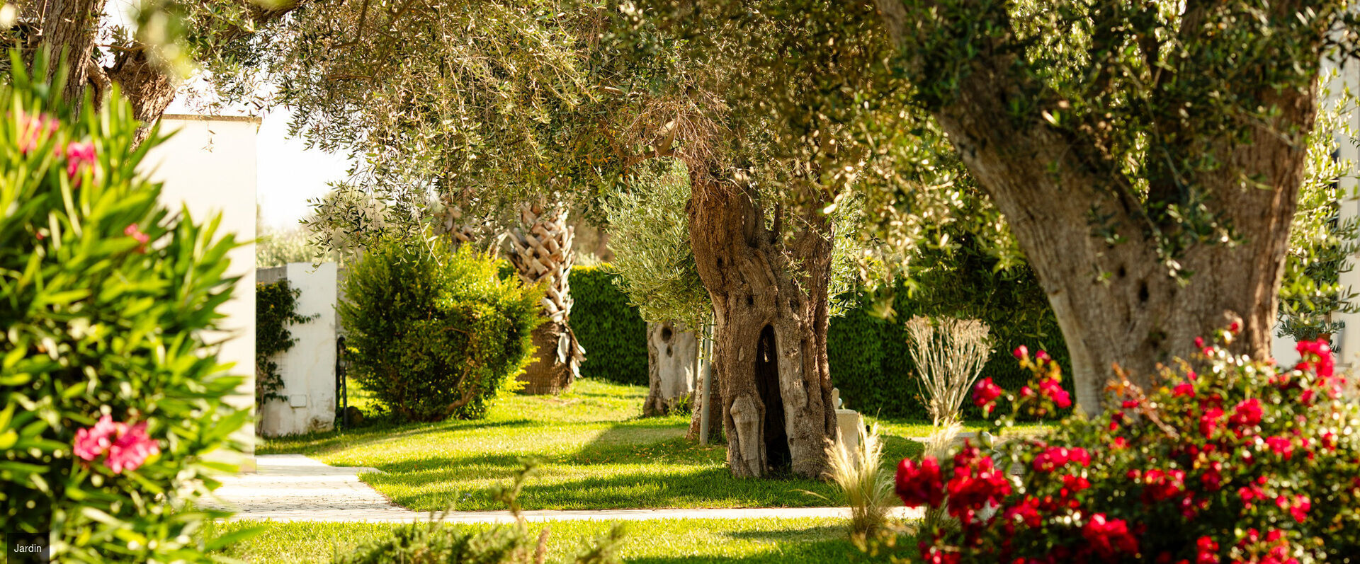 Borgo Mulino a Vento - Resort ★★★★ - Toute l’élégance d’une demeure familiale dans la nature magnifique du Salento. - Les Pouilles, Italie