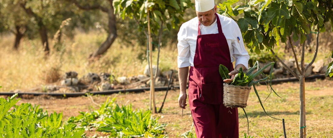 Borgo Mulino a Vento - Resort ★★★★ - Toute l’élégance d’une demeure familiale dans la nature magnifique du Salento. - Les Pouilles, Italie
