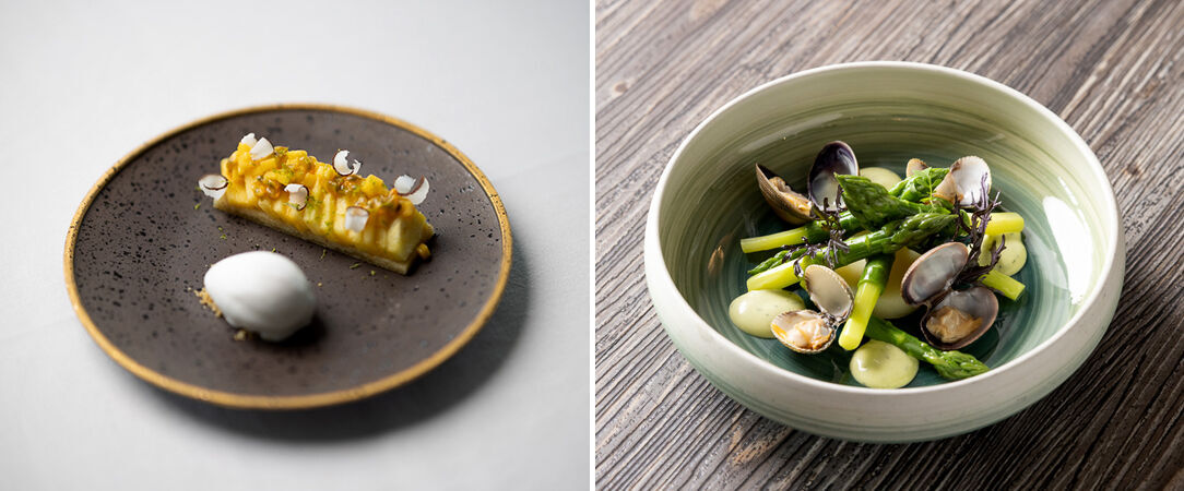 Relais Thalasso Île de Ré ★★★★ - Dernière minute - Face à la mer sur l'Île de Ré. - Île-de-Ré, France