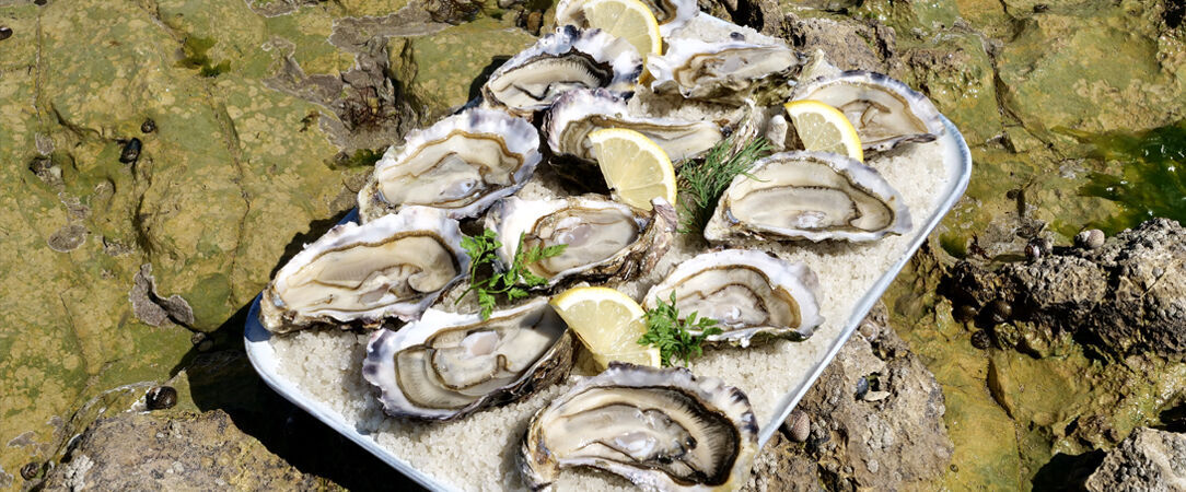 Relais Thalasso Île de Ré ★★★★ - Dernière minute - Face à la mer sur l'Île de Ré. - Île-de-Ré, France