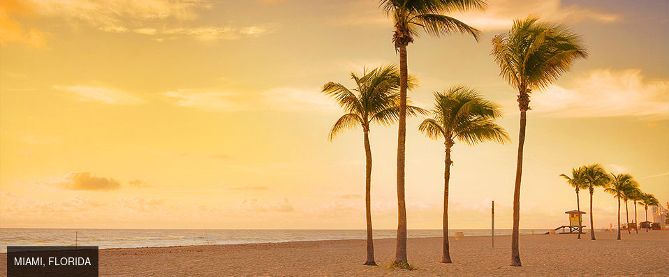 Hotel Belleza - A perfect pied-à-terre on Miami´s super-chic South Beach - Miami, United States