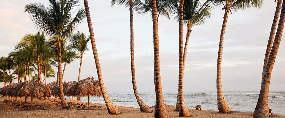 Excellence El Carmen ★★★★★ - Adults Only - Adults-only luxury in idyllic Punta Cana - Punta Cana, Dominican Republic