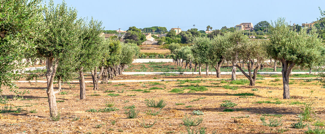 Minareto ★★★★★ - Natural beauty, ancient wonders and five-star luxury on the Sicilian coast. - Sicily, Italy