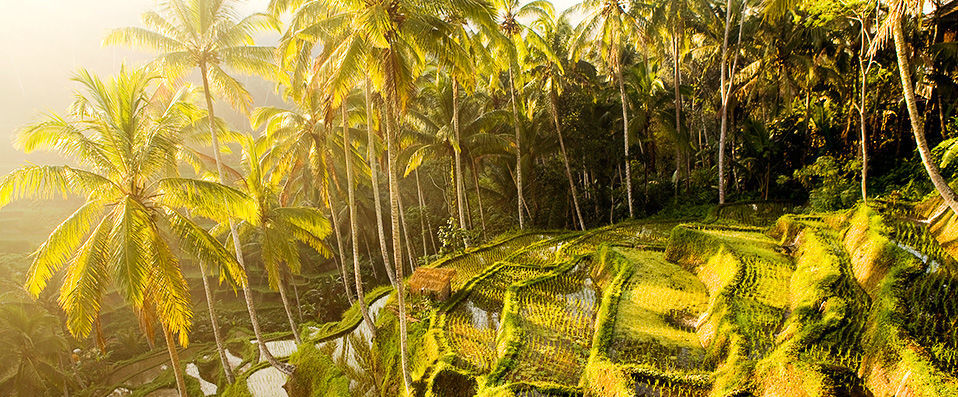 Senetan Villas & Spa Resort ★★★★★ - Spectacular villa with a private pool nestled in the tranquil area of Ubud. - Bali, Indonesia