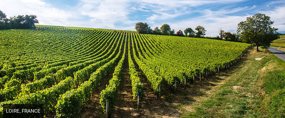 Novotel Blois Centre Val de Loire ★★★★ - Dernière minute - Adresse idéale pour découvrir Blois et son château ! - Blois, France