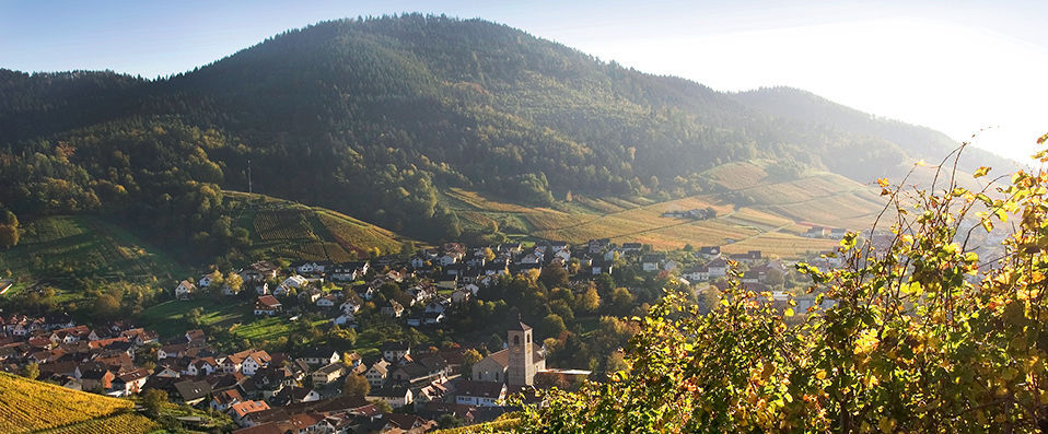 Brenners Park-Hotel & Spa - an Oetker Collection Hotel ★★★★★ - Spectacular elegance and traditional luxury surrounded by a beautiful parkland. - Baden-Baden, Germany