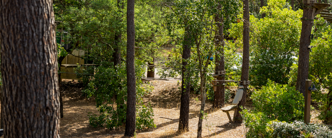 Vitalparc Hôtel & Spa ★★★★ - Wellness and revitalisation in Lacanau’s natural surroundings - Lacanau, France