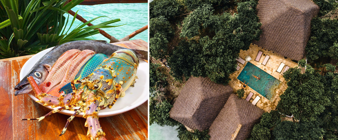 The Island Pongwe Lodge ★★★★ - Expérience unique & insolite en pleine nature à Zanzibar. - Zanzibar, Tanzania