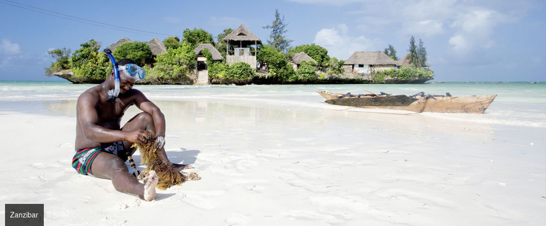The Island Pongwe Lodge ★★★★ - Expérience unique & insolite en pleine nature à Zanzibar. - Zanzibar, Tanzania