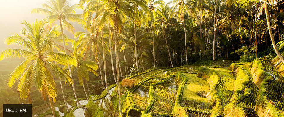 Adiwana Resort Jembawan ★★★★ - Votre coin de paradis au milieu de la nature verdoyante d’Ubud. - Bali, Indonésie