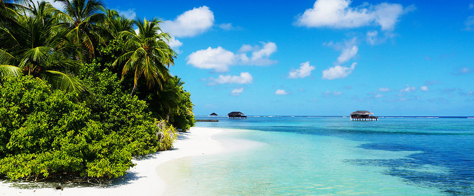 Medhufushi Island Resort ★★★★ - Un hôtel au charme rustique sur une île paradisiaque des Maldives. - Maldives