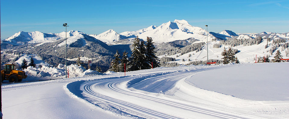 Flying Nest - Coup de maître aux pieds des pistes. - Avoriaz, France