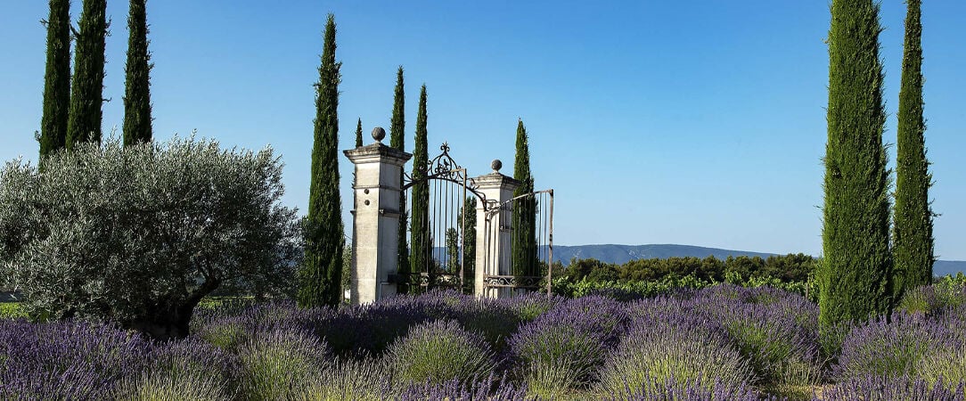 Coquillade Provence Resort & Spa ★★★★★ - A tranquil 5-star retreat among vineyards and lavender fields. - Luberon, France