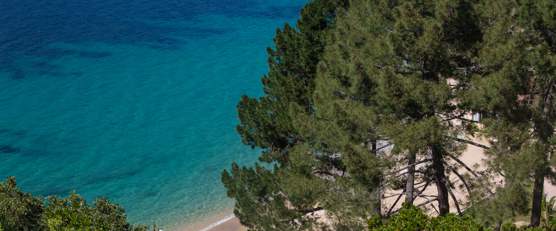 Hôtel A’mare ★★★★★ - Mediterranean oasis on Corsica’s stunning coast. - Corsica, France