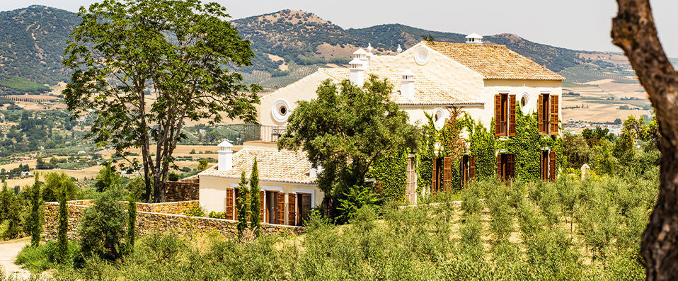 Cortijo LA Organic - The majestic olive - Andalusia, Spain