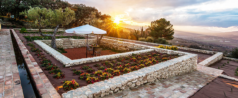 Cortijo LA Organic - The majestic olive - Andalusia, Spain