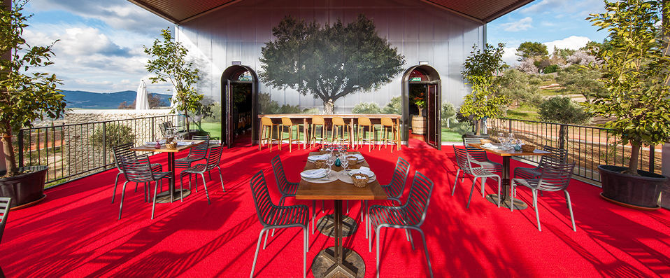 Cortijo LA Organic - The majestic olive - Andalusia, Spain