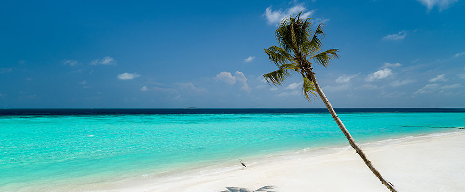 LUX★ North Male Atoll ★★★★★ -  - Maldives