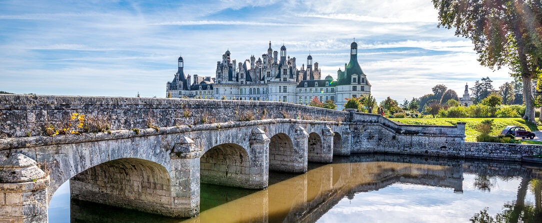 Château Laroche-Ploquin ★★★★ - Spectacular castle escape in the lush Loire Valley. - Indre-et-Loire, France