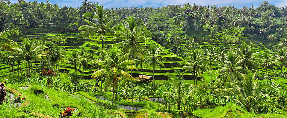 Royal Kamuela Villas & Suites at Monkey Forest Ubud ★★★★★ - Dépaysement au cœur de la forêt d’Ubud. - Bali, Indonésie