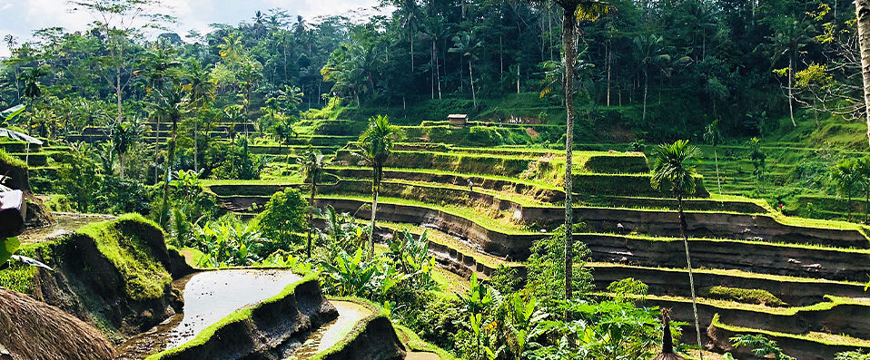 Royal Kamuela Villas & Suites at Monkey Forest Ubud ★★★★★ - Dépaysement au cœur de la forêt d’Ubud. - Bali, Indonésie