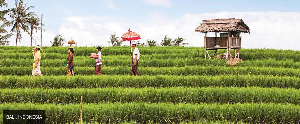 Sofitel Bali Nusa Dua Beach Resort ★★★★★ - A slice of botanical Bali at a five-star resort. - Bali, Indonesia