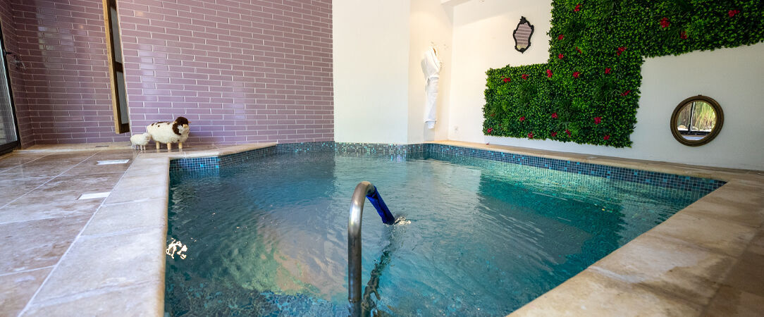 Le Clos Violette et Le 11 d'Aglaé - Dernière minute - Vivre le charme & la douceur de vivre du Sud depuis une adresse historique. - Vaucluse, France