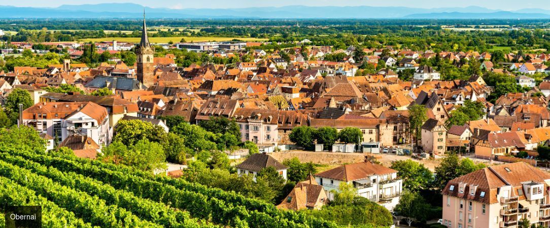 À la Cour d'Alsace ★★★★ - Charme et bien-être au cœur d’Obernai en Alsace. - Alsace, France