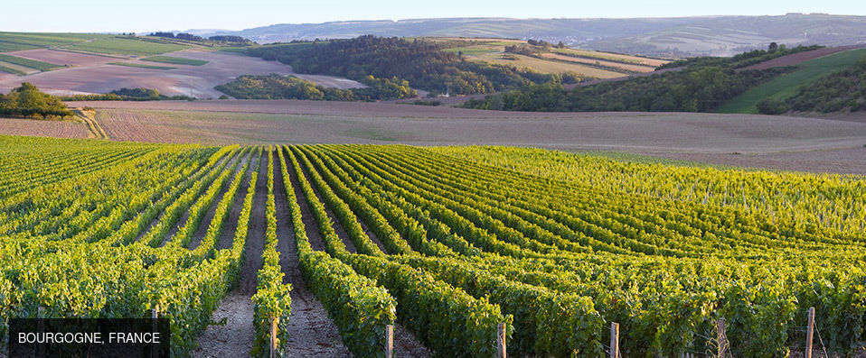 Ermitage de Corton ★★★★ - Adresse de charme sur la route des Grands Crus. - Bourgogne, France