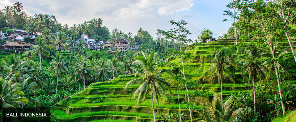 Kuwarasan A Pramana Experience ★★★★★ - A relaxing hideaway in the heart of the Ubud forest. - Bali, Indonesia