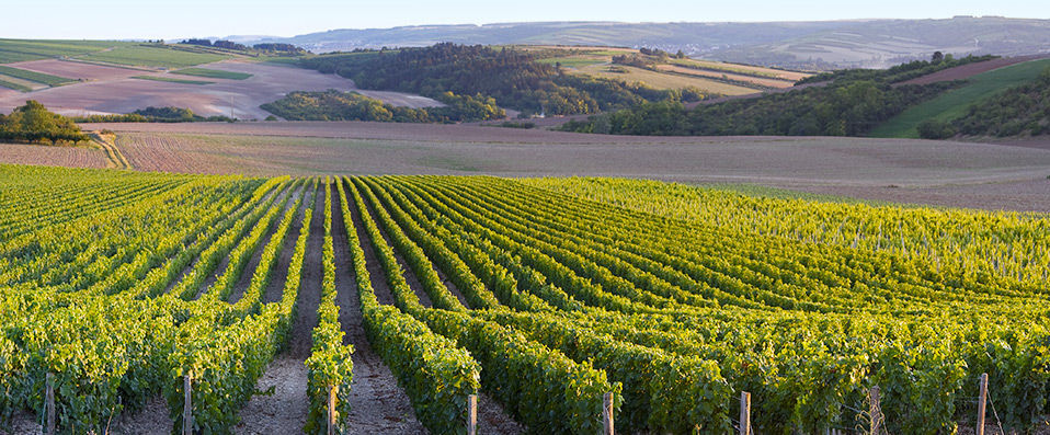 Frédéric Carrion - Cuisine Hôtel ★★★★ - Indulge each of your senses at this fabulous Burgundian countryside escape. - Burgundy, France