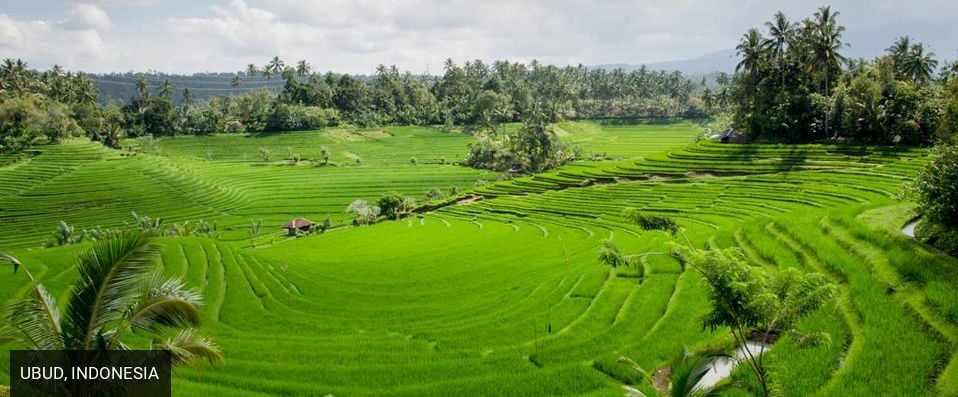 Plataran Ubud Hotel & Spa ★★★★ - 5-star escape surrounded by Bali’s spectacular scenery. - Bali, Indonesia