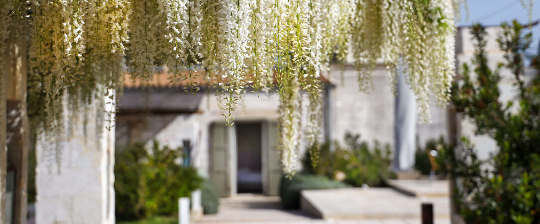 Borgo Sentinella ★★★★ - Expérience incroyable & pleine de charme au sud de l’Italie. - Puglia, Italy