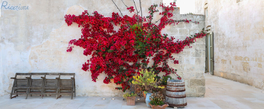 Borgo Sentinella ★★★★ - Expérience incroyable & pleine de charme au sud de l’Italie. - Puglia, Italy