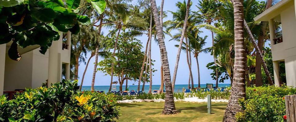 Impressive Premium Resort & Spa ★★★★★ - A Premium experience on Punta Cana’s El Cortecito beach. - Punta Cana, Dominican Republic